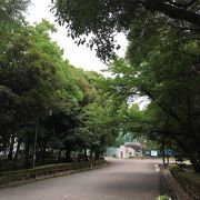 緑豊かな公園