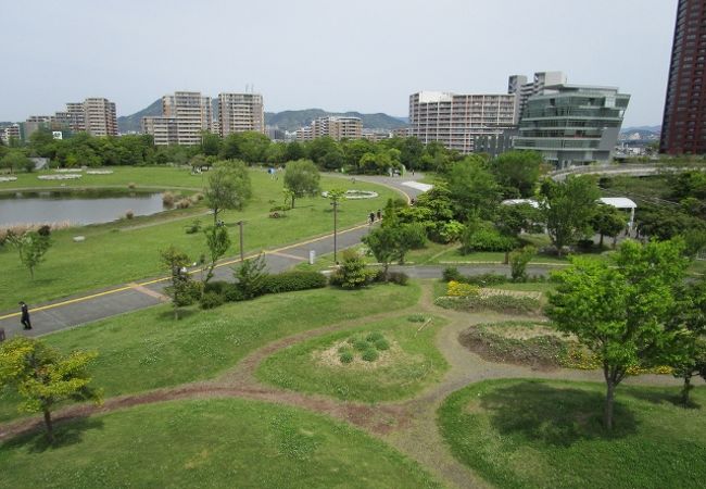 アイランドシティ中央公園 クチコミ アクセス 営業時間 博多 フォートラベル アイランドシティ中央公園 クチコミ アクセス 営業時間 博多 フォートラベル