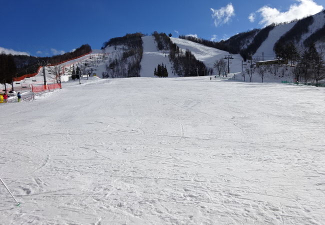 ほおのき平スキー場　　リフト券ペア　送料無料 FK2873-8 ☆ペア ほおのき平 スキー場 飛騨 1日券 引換券