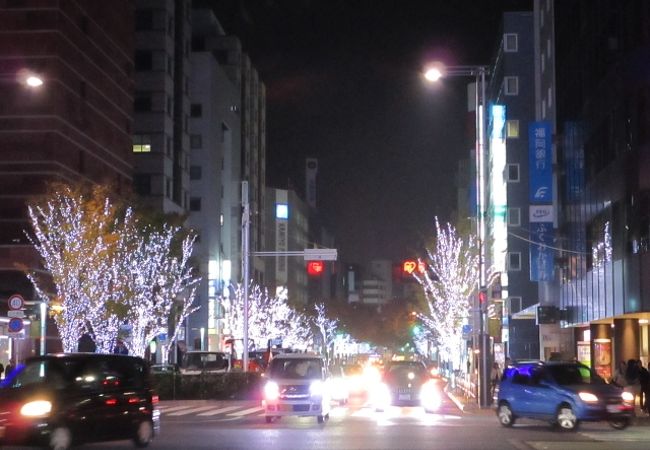 はかた駅前通りイルミネーション　冬の風物詩