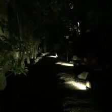 お庭には蛍が飛んでて…