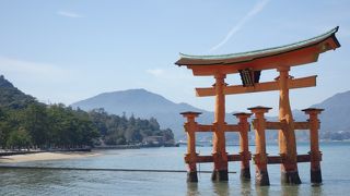 やっぱりこれをバックに写真を撮りたいでしょう