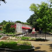 福岡市動植物園展望台 　眺めがいいです。