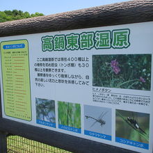 高鍋湿原