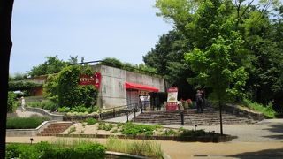 福岡市動植物園展望台 　眺めがいいです。