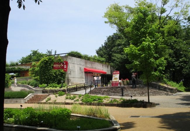 福岡市動植物園展望台 　眺めがいいです。