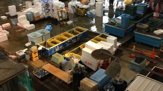 早朝の唐戸市場