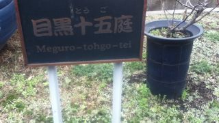 気分転換にいいかもしれない