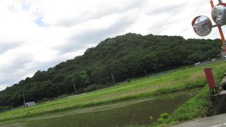 ここがベストスポットです