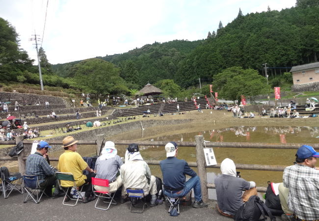 どろんこ祭り・御田植祭り