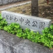 区役所の向かいにある広い公園