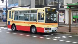 どこに行っても見かける存在