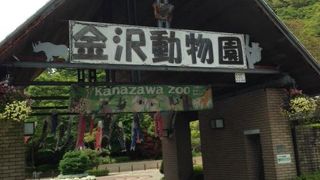 自然の中で動物たちが自然に生きている…そんな感じです。