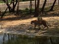 ネルー動物園