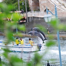 いつの間にこんなアクティビティが。。&#128044;