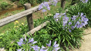 気持ちよさそうに子供たちが遊んでいました