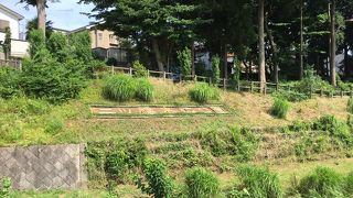 ランニングするのに最適な川沿いのコース