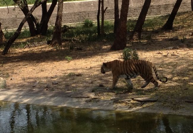 ネルー動物園