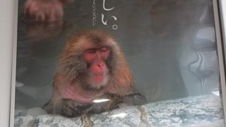 なまら、あずましい