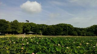 開園は2時間早まってました