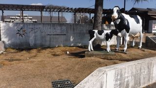 新鮮野菜や漬物など