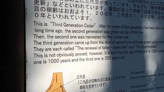 三世代がおんぶする