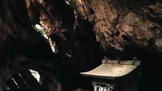 ハートの切り株