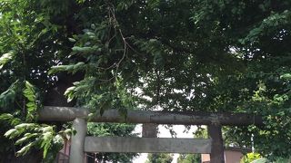 短い階段と長い参道
