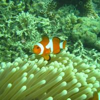 シュノーケリングポイントで