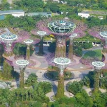 スーパーツリー・グローブ