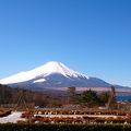 富士山のながめがいいです