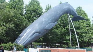 シラナガスクジラのオブジェ、迫力あります