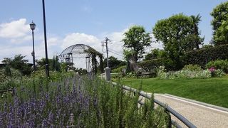 可愛い、きれいな公園です。