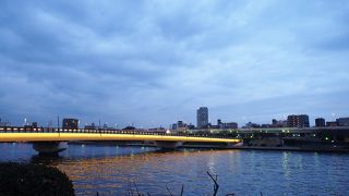 歩行者専用の橋です