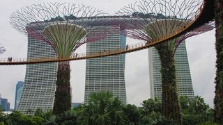 人工の樹がニョキニョキと立っていて公園内は無料ゾーンです。夜はガーデンズラプソディと言うショーがあります