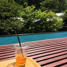 目の前に広がる自然