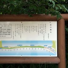 駐車場にあった波の橋立の絵と金子みすゞの詩です。