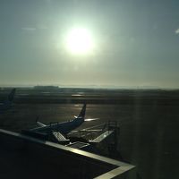 朝日はまぶしいけど飛行機近い