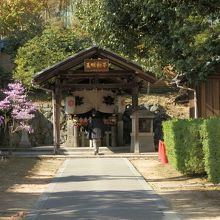 水掛不動（みずかけふどう）です。