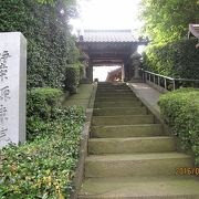 静寂な空間と四季折々の草花を楽しめる寺院であり、近くの「あじさい緑道」も有名です。