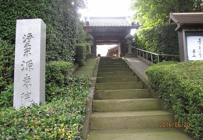 静寂な空間と四季折々の草花を楽しめる寺院であり、近くの「あじさい緑道」も有名です。