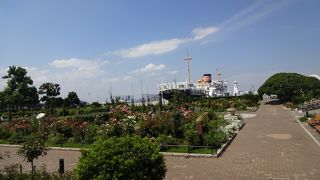 ばらはちょっと盛りを過ぎていましたが。