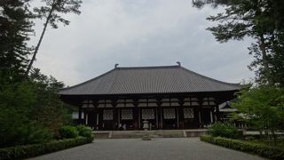 蓮の花がみたかった