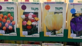 お花の球根なども販売されています