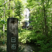 白い反物のよう