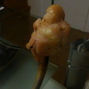 ぷりぷり鶏肉