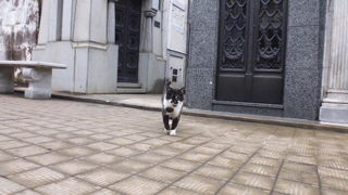 レコレータ墓地内