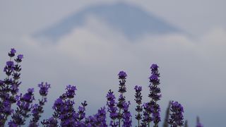 富士山周辺の国際化はここまで！