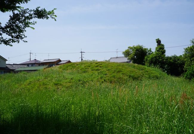 住宅地の中にあってこじんまりとした方墳