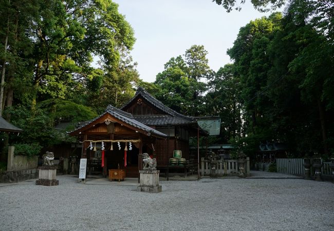 境内はこんもりした森